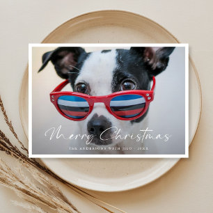 Modern minimalistisk Rolig hund familjefolljul Julkort