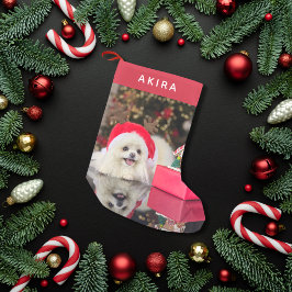 Modern Minimalistiskt ruttfoto för högtalande Hund Liten Julstrumpa