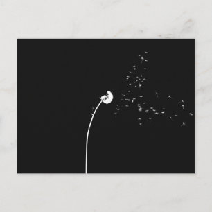 Modern, minimalistiskt svart och vit dandelionblom vykort