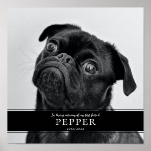 Modern minnesfoto för att hämta minnesanteckning f poster