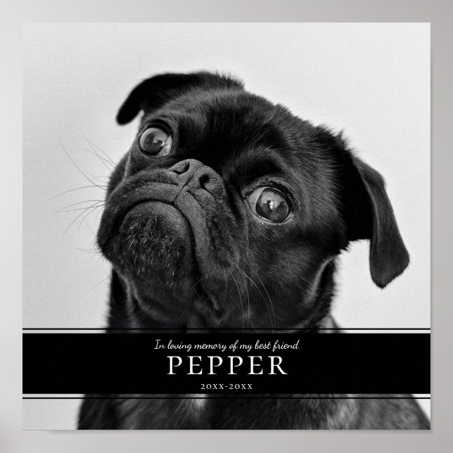 Modern minnesplansch för avlidna husdjur poster (Framsidan)