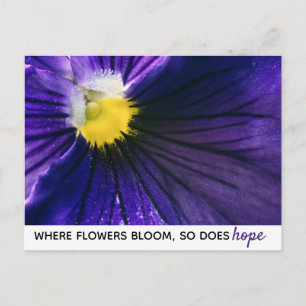 Modern modernt fotot av inspirationspansy-makro fö vykort