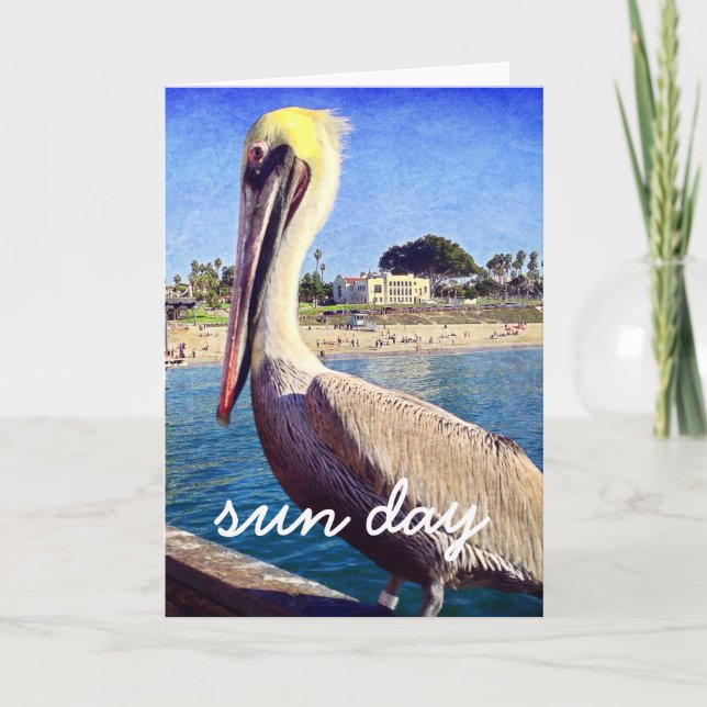 Modern modernt Pelican Beach Bird Photo Sol Day-sk Kort (Framsida)