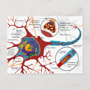 Modern Neurons Stil Vykort