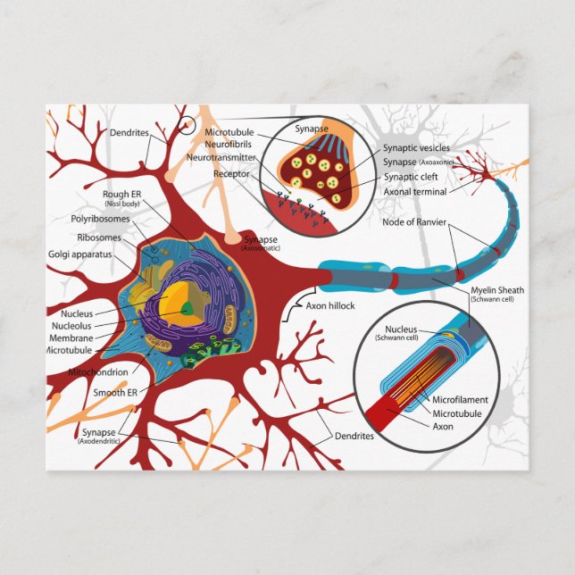 Modern Neurons Stil Vykort (Framsida)