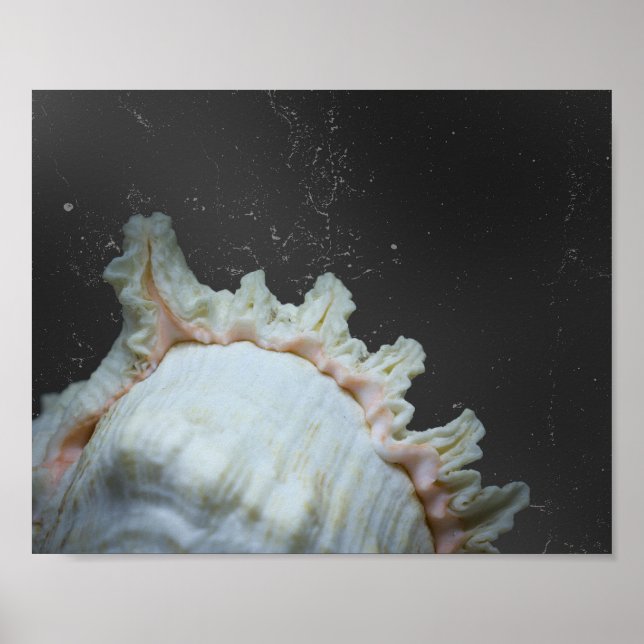 Modern Neutralt Tropical Seashell Printable Art Poster (Framsidan)