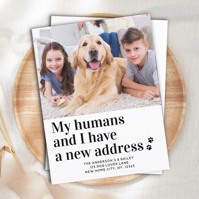 Modern Ny adress jag Flyttat Flyttan Pet Photo Hun Vykort (Skapare uppladdad)