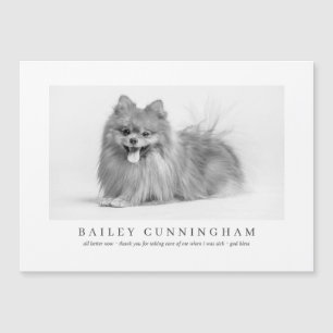 Modern och enkel fotopatens tack Vet-sjukskötersko