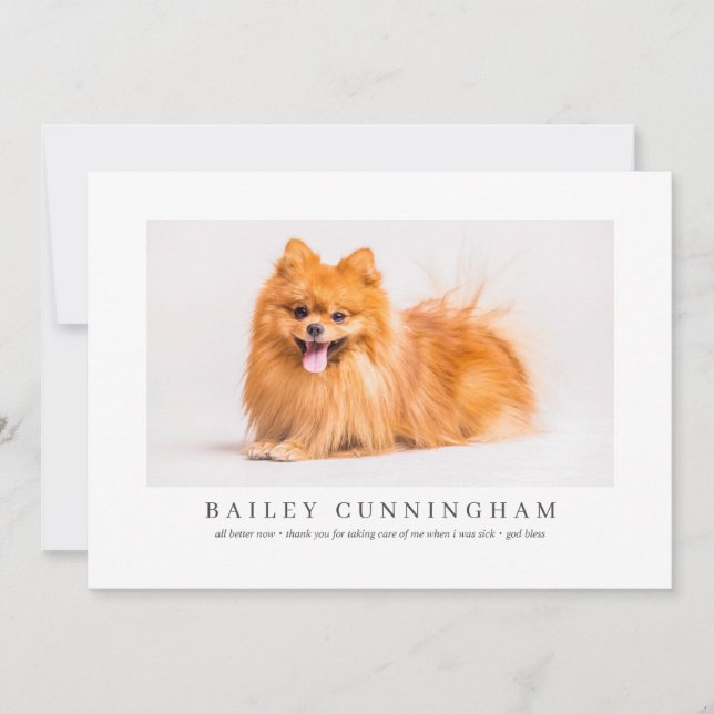 Modern och enkel Photo Pet-tack - sjuksköterskor Tack Kort (Framsida)