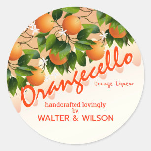 Modern Orangecello Apelsin Runt Klistermärke