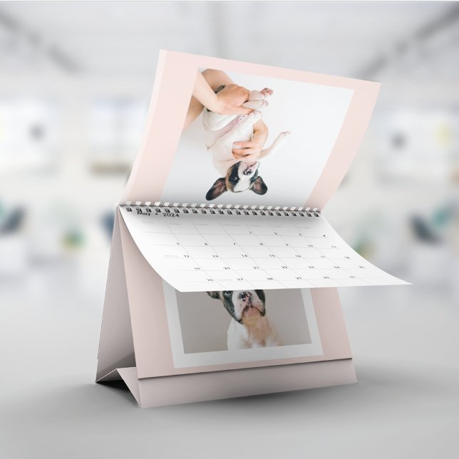 Modern Pastel Rosa Ram | Personligt Hund-foto Kalender (Skapare uppladdad)