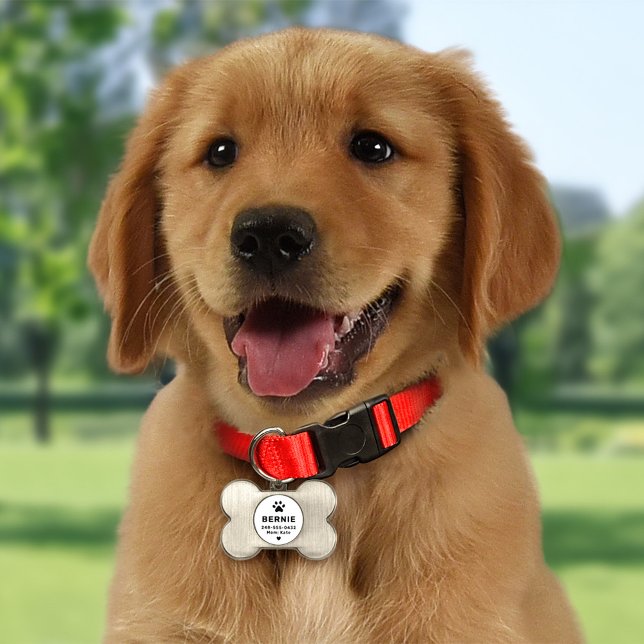 Modern Personlig Hund White ID-bricka Husdjur (Skapare uppladdad)