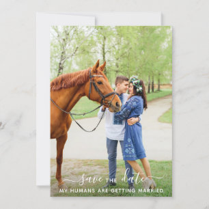 Modern Personlig Pet Photo Horse Bröllop Spara Datumet