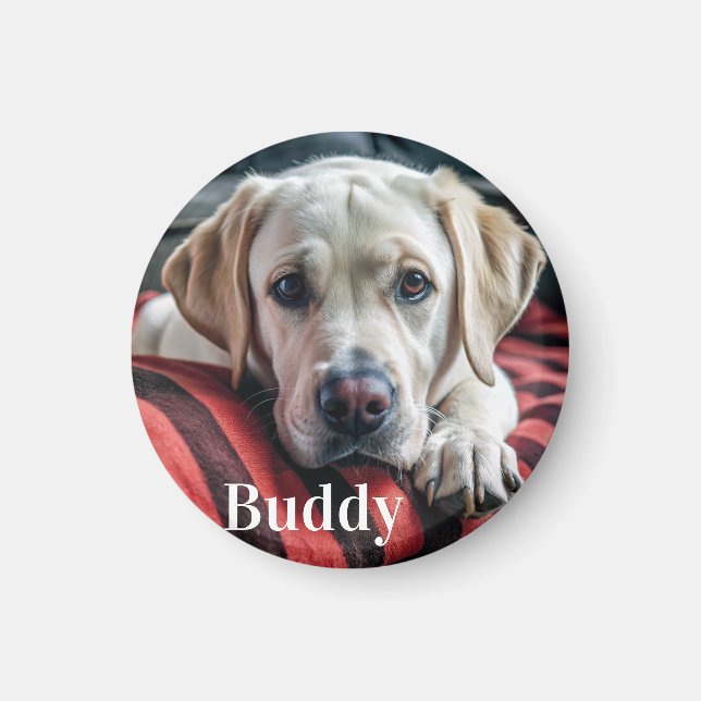 Modern Personlig Pet Photo Namn Hund älskare Magnet (Framsidan)