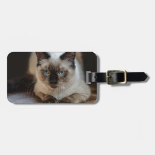 Modern Pet Cat Photo Bagagebricka