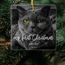Modern Pet-foto Första julen-Helgdag Julgransprydnad Keramik