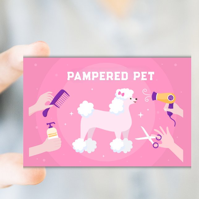 Modern Pet Groomer Nästa Möte Visitkort (Skapare uppladdad)