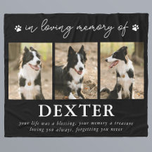 Modern Pet Loss Memorial Photo
