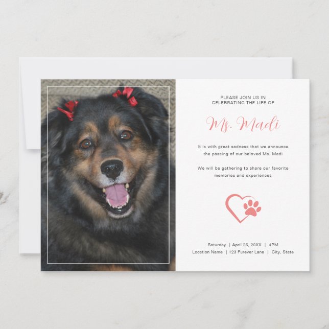 Modern Pet Memorial Photo Firande-inbjudan Inbjudningar (Framsida)