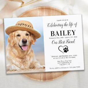 Modern Pet Memorial Photo Firande of Life Inbjudningar
