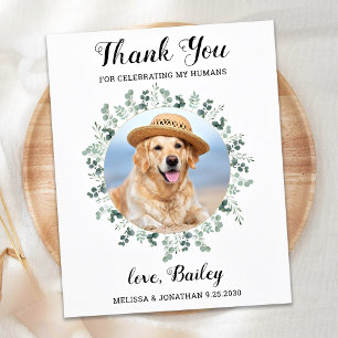 Modern Pet Photo Eucalyptus Hund Bröllop Tack Vykort