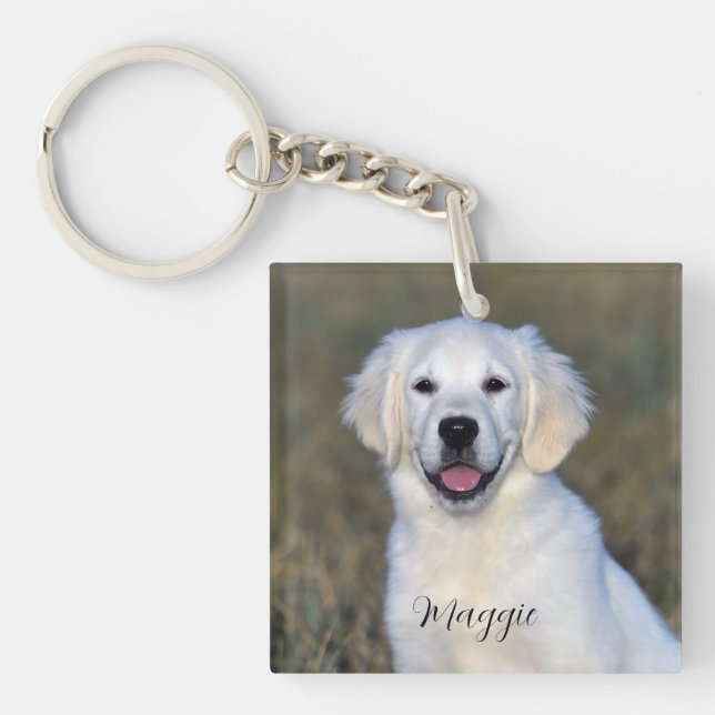 Modern Pet Photo Namn (Framsidan)