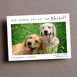 Modern Pet Photo Save Date Spara Datumet
