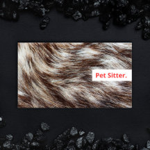 Modern Pet Sitter Dog Walker Grooming Veterinär