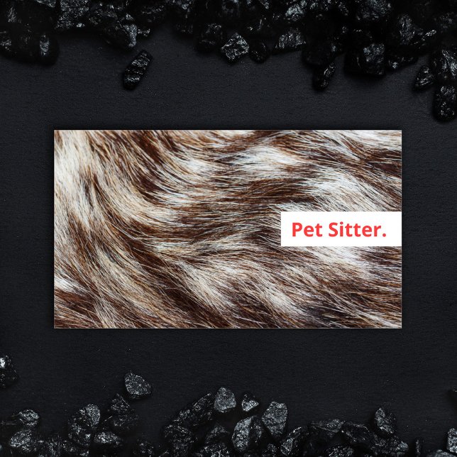 Modern Pet Sitter Dog Walker Grooming Veterinär Visitkort (Bold design Dog Walking and Pet Sitting Business card with fluffy fur and colorful modern type.)