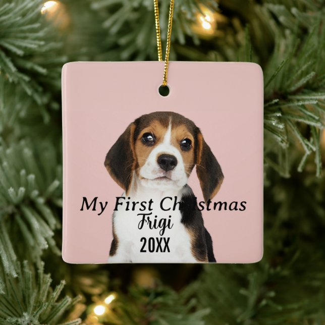 Modern Pet-skript Namn Första jul 2-foto Julgransprydnad Keramik (Träd)