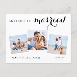 Modern Photo Collage Hund Bröllop Elopement Meddelande Vykort
