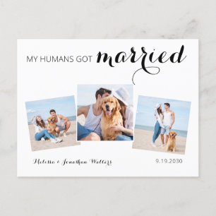 Modern Photo Collage Hund Bröllop Elopement Meddelande Vykort