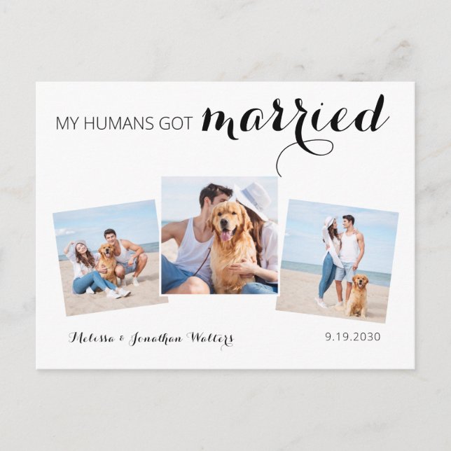 Modern Photo Collage Hund Bröllop Elopement Meddelande Vykort (Framsida)