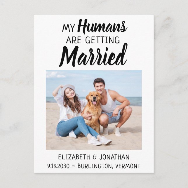 Modern Photo Hund Bröllop spara datum Meddelande Vykort (Framsida)