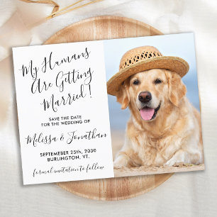 Modern Photo Personalize Hund Bröllop spara datum Meddelande Vykort