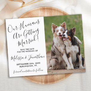 Modern Photo Personalize Pet Bröllop spara datum Meddelande Vykort