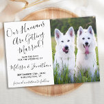Modern Photo Personlig Hundar Photo Pet Bröllop Spara Datumet<br><div class="desc">Låt din bäste Hundar eller hund och katt meddela bröllop med den toppen söta hund "Våra människor är Gifta sig" spara datumkorten. Anpassa med ditt favoritfoto och anpassa med namn, datum och bröllop. COPYRIGHT © 2020 Judy Burrows, Black Hund Art - Med alla Höger reserverade. Modern Photo Personlig Hundar Photo...</div>