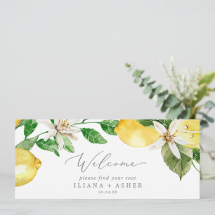 Modern platshuvud för Lemon Garden Hanging-sätesdi