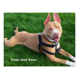 Modern poster med Pit-tjur på gröntens gräs Perfect Poster