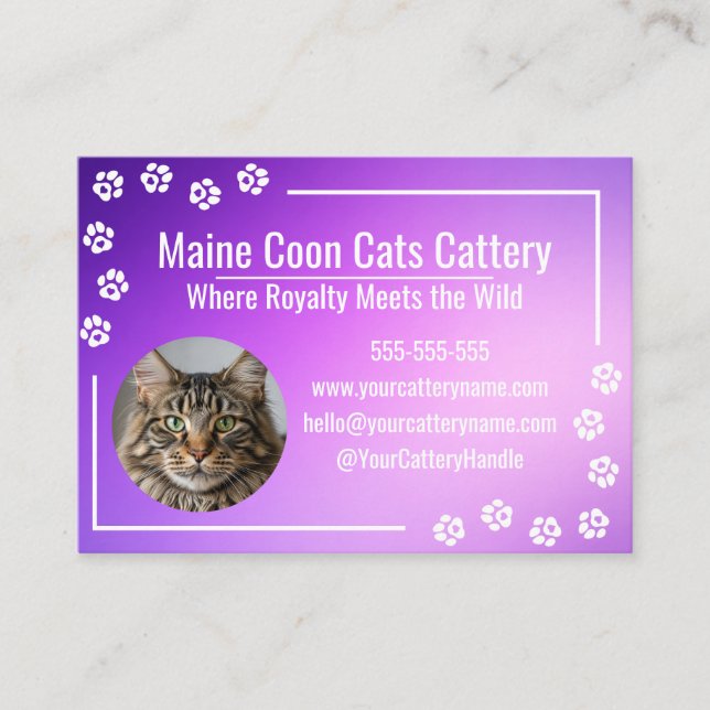 Modern Purple Gradient Maine Coon Uppfödning Visitkort (Framsida)
