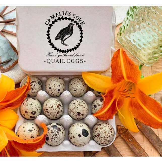 Modern Quail Eggs Custom Farm Owner Name Black Stämpel (Modern custom Quail eggs egg stamp)
