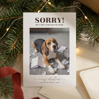 Modern rolig hund fotokort julkort