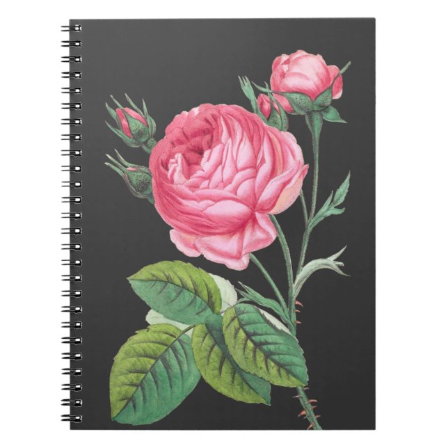 Modern rosa blomster anteckningsbok (Framsidan)