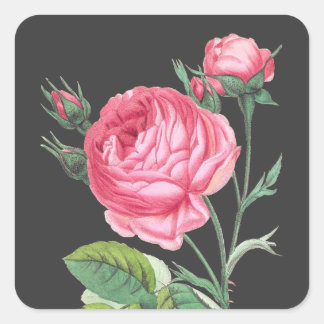 Modern rosa blomster fyrkantigt klistermärke