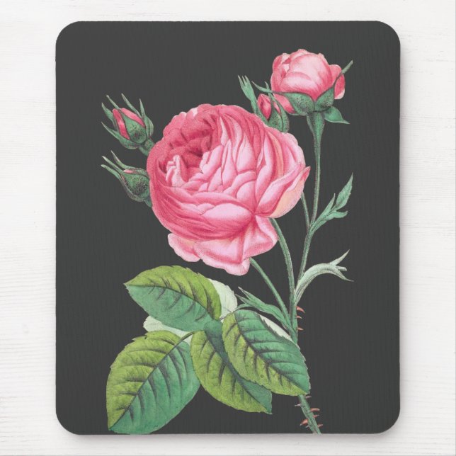 Modern rosa blomster musmatta (Framsidan)
