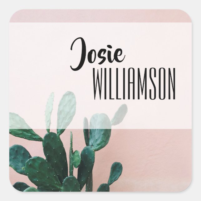 Modern Rosa Cactus Fyrkantigt Klistermärke (Framsida)