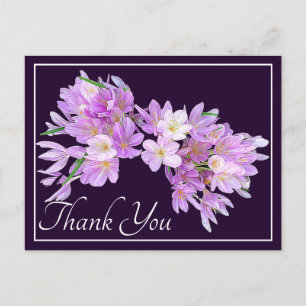 Modern Rosa Lila Krokus Blommig Snygg Tack Vykort