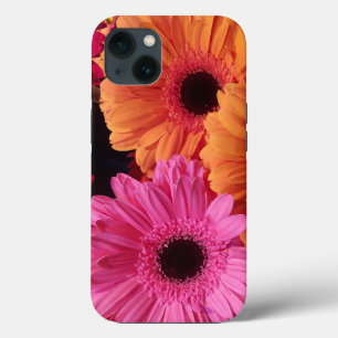 Modern Rosa och Orange Gerber för fotografi i Flor