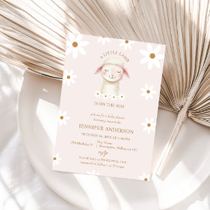 Modern Rosa White Daisy Little Lamb Baby Shower Inbjudningar