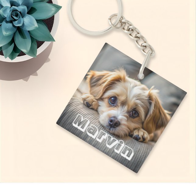 Modern Rustic Simple Anpassningsbar Pet Photo (Skapare uppladdad)